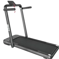 Core 2200