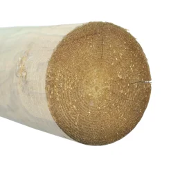 Fyrås Trä 95 x 3500 mm 55 st