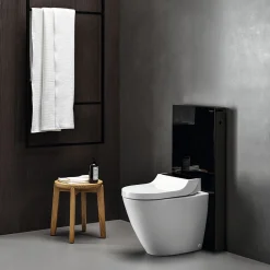 Geberit AquaClean Tuma Comfort