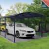 Canopia by Palram Arcadia I Metall 3,6x8,5 m