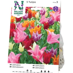 Odling & Trädgårdsskötsel|Odling & Trädgårdsskötsel*Nelson Garden Blandade Färger