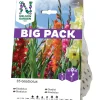 Nelson Garden Blandade Färger BigPack