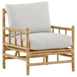 Venture Home Cane