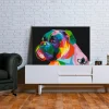Arkiio Colourful Boxer