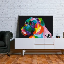 Arkiio Colourful Boxer
