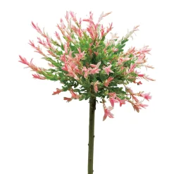 Odling & Trädgårdsskötsel|Växter & Plantor*Omnia Garden Eukalyptusvide - Träd med Grönt Lövverk & Blomning 60 cm