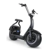 Gardeney Fatbike 1000W