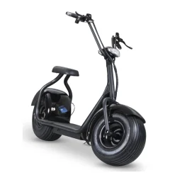 Gardeney Fatbike 1000W