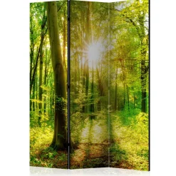 Arkiio Forest Rays 135x172 cm