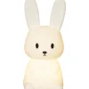 Barn Star Trading Functional Bunny