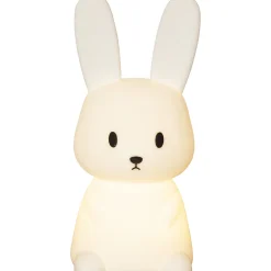Barn Star Trading Functional Bunny