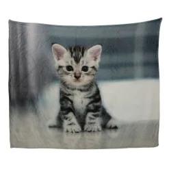 Svanefors Kittie