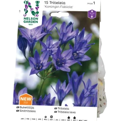 Odling & Trädgårdsskötsel|Odling & Trädgårdsskötsel*Nelson Garden Koningin Fabiola