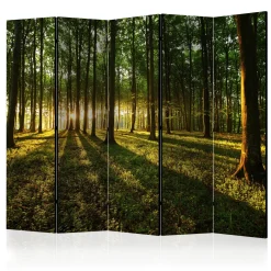 Rumsavdelare*Arkiio Morning in the Forest II 225x172 cm