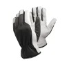 Tegera 115 12-Pack