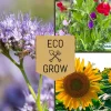 Eco Grow Pollinatörmix - Blommor för Bin 3-pack