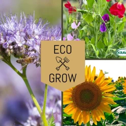 Eco Grow Pollinatörmix - Blommor för Bin 3-pack