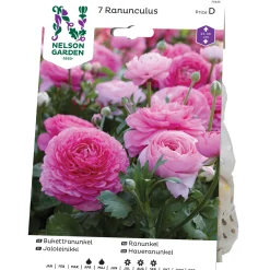 Odling & Trädgårdsskötsel|Odling & Trädgårdsskötsel*Nelson Garden Ranunculus