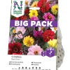 Nelson Garden Red Skin BigPack