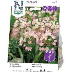 Odling & Trädgårdsskötsel|Odling & Trädgårdsskötsel*Nelson Garden Rosa