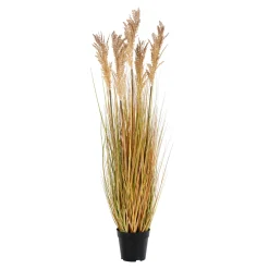 House Nordic Sorghum
