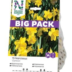 Nelson Garden Storkronig Carlton Big Pack